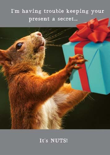 Funny Squirrel Birthday Card - TROUBLE KEEPING Your PRESENT A Secret It's N