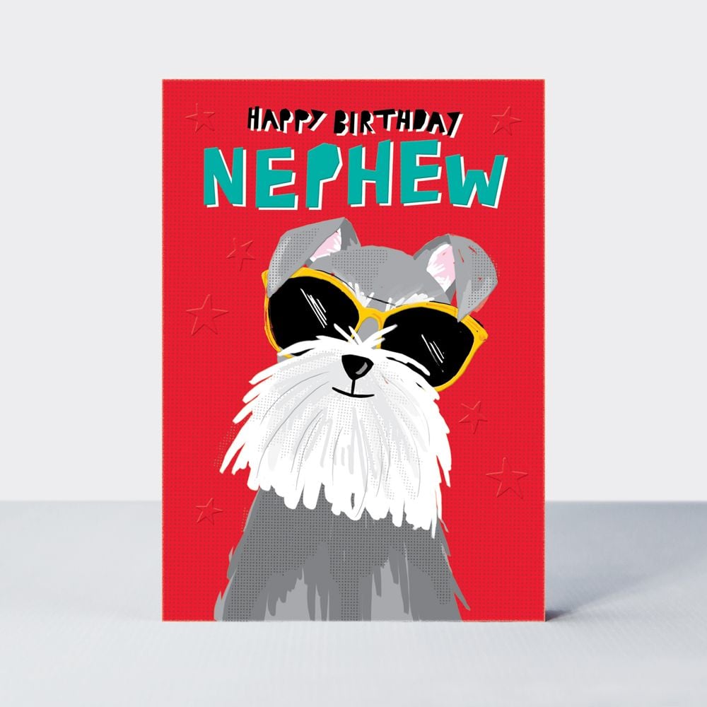 Happy Birthday Nephew - NEPHEW Birthday CARDS - RETRO Style BIRTHDAY Cards 
