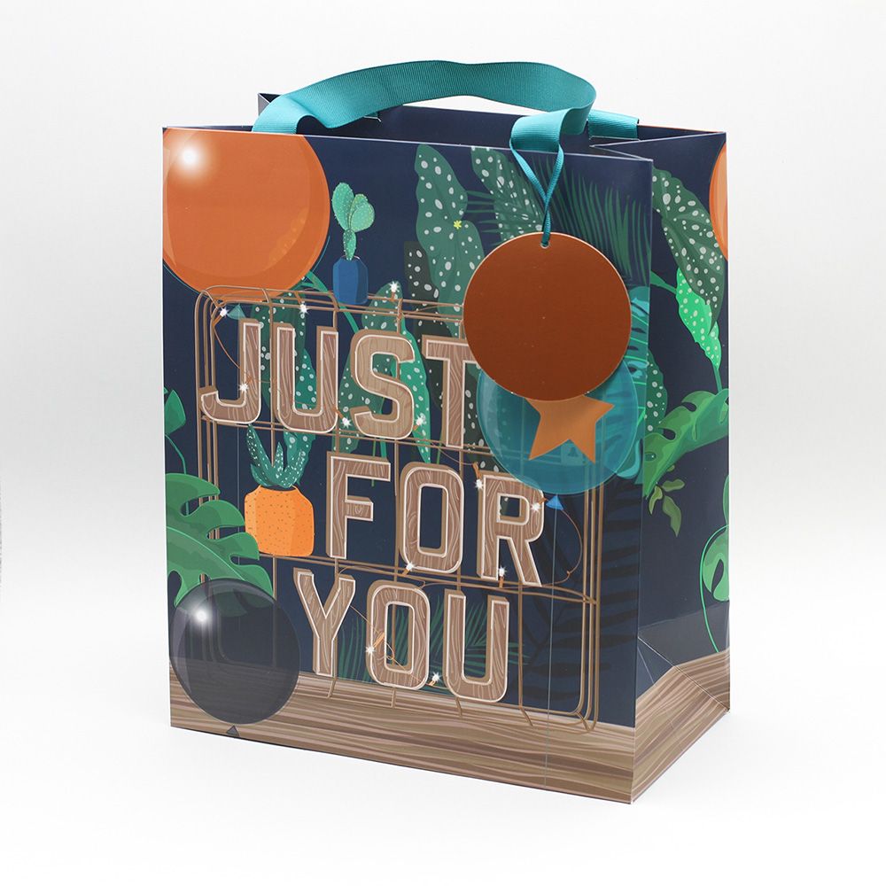 Just For You Male Gift Bags - LARGE PORTRAIT GIFT Bags - Birthday GIFT Bags