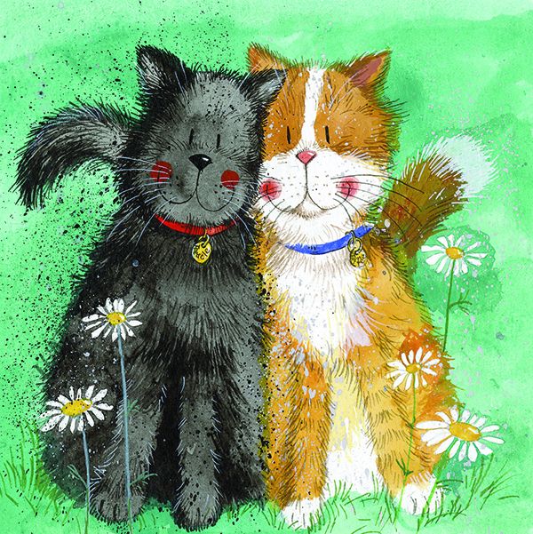 Adorable Cats In A Meadow Greeting Card - BLANK Cards - CAT Greeting CARDS - Cute CAT Birthday CARD For FRIENDS & FAMILY