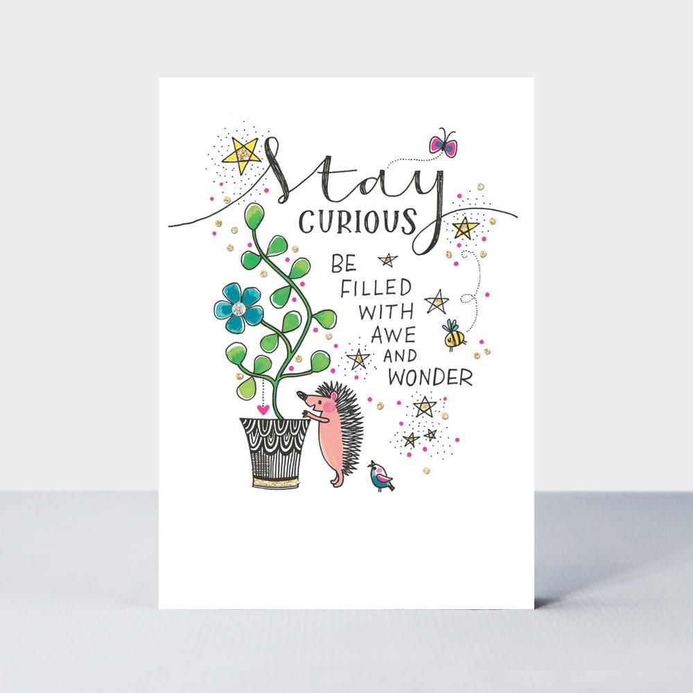 Inspirational Birthday Card For Her - BE Filled With AWE & WONDER - Cute HEDGEHOG Birthday CARD - Inspirational BIRTHDAY Card For FRIENDS & Family