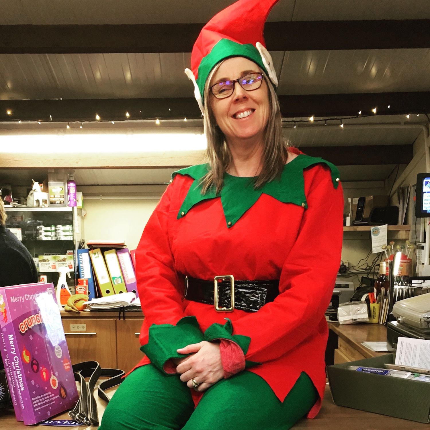 Riseholme's Elf on the Shelf