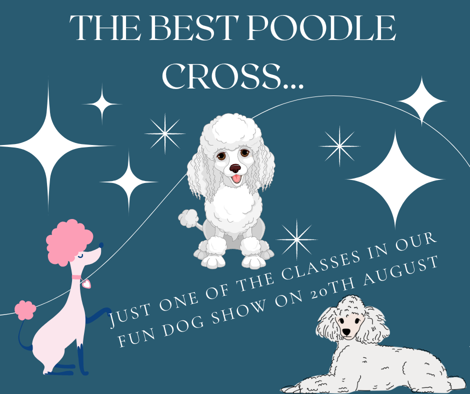 Poodle Cross.png