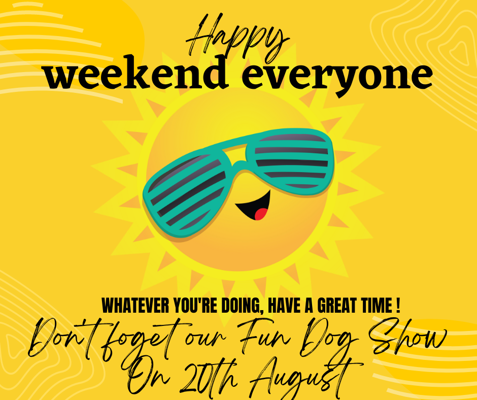 whatever you're doing, have a great time !.png