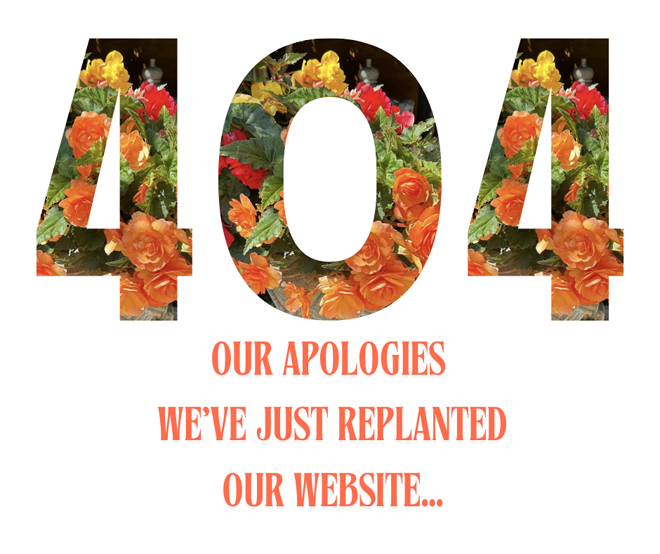 404 error.png