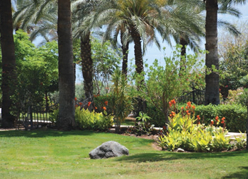 Garden near the Beatitudes, near Capernaum