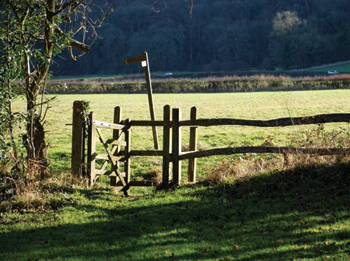 Gate at Newtimber, West Sussex