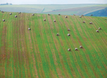 Patterns in the landscape, Telscombe village, East Sussex