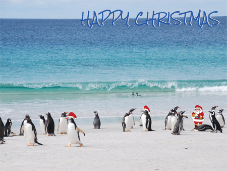 Father Christmas and penguins on the beach