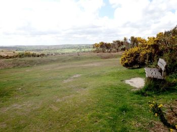 Viewpoint on Ashdown Forest 