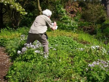 Simon Davey photographing an insect