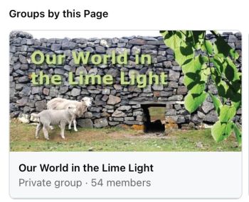 Our World in the Lime Light image (our group)