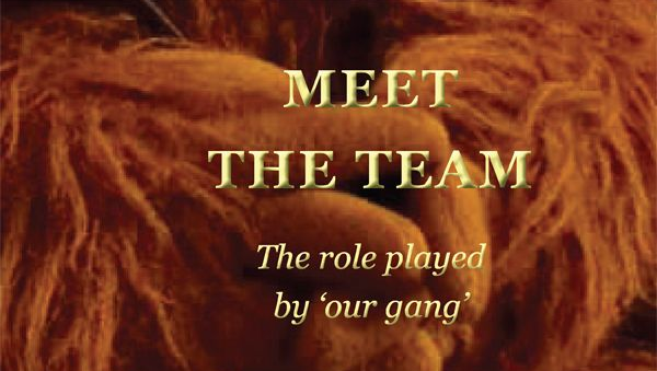 Cover for Meet the Team