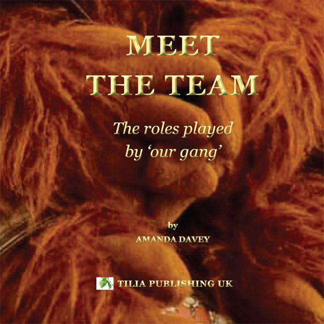 Cover for Meet the Team