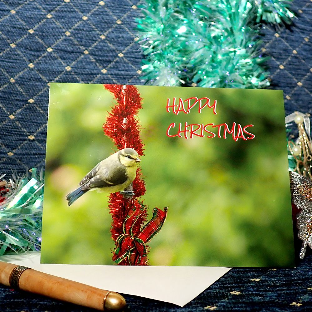Greeting cards: Christmas cards