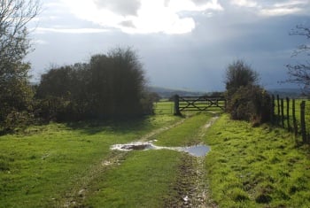 Gate on a wet path