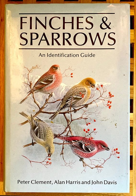 Finches and Sparrows: An Identification Guide