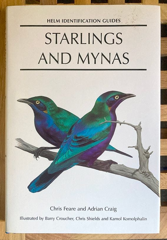 Starlings and Mynas