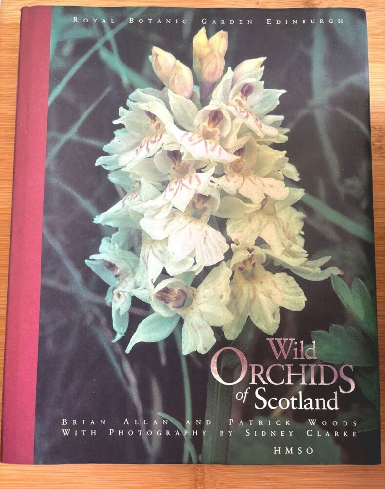 Wild Orchids of Scotland