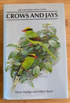 Crows and Jays: A Guide to the Crows, Jays and Magpies of the World