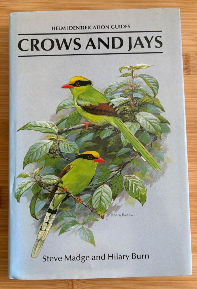 Crows and Jays: A Guide to the Crows, Jays and Magpies of the World