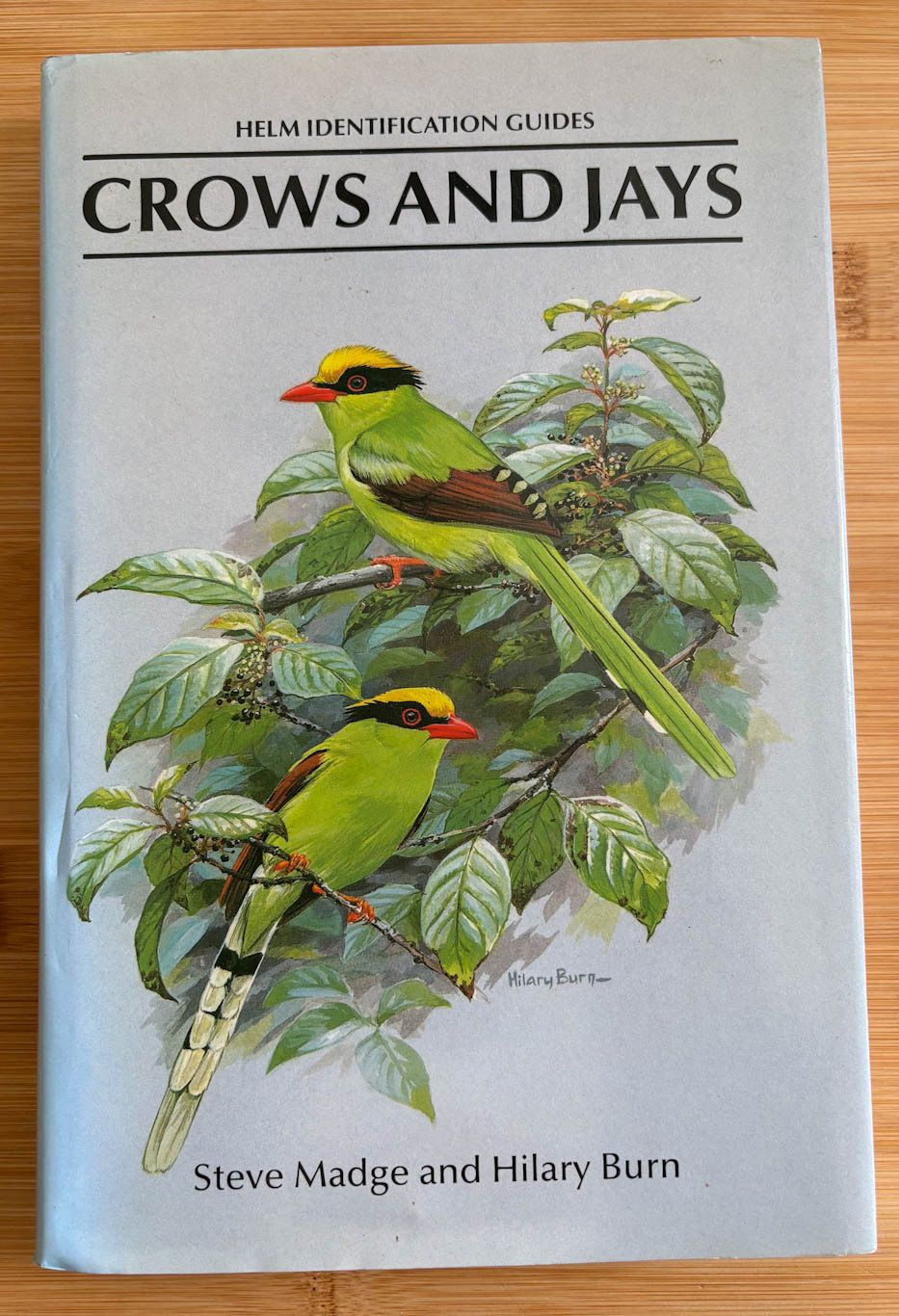 Crows and Jays: A Guide to the Crows, Jays and Magpies of the World