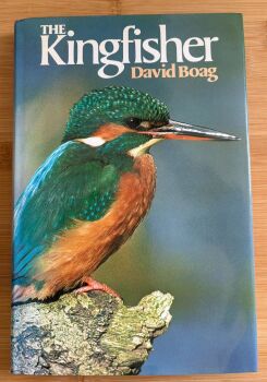 The Kingfisher