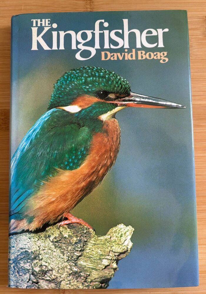The Kingfisher