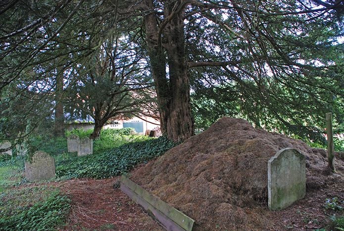 Compost heap at Buriton