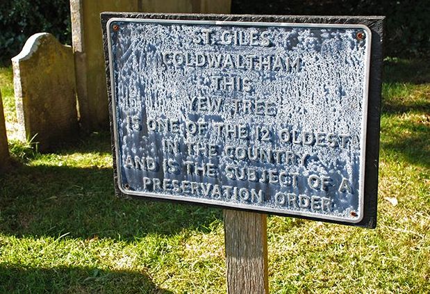 Sign near Coldwaltham yew