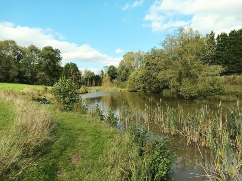 Nyewood Pond Frith End Road