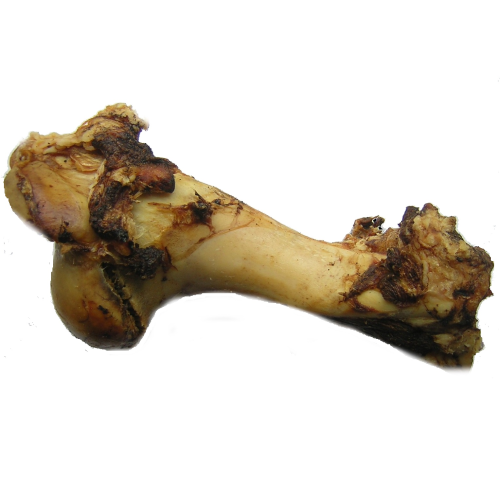 1x Jurassic Bone 100% Natural Treat