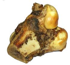 1x Roast Knuckle Bone 100% Natural Treat
