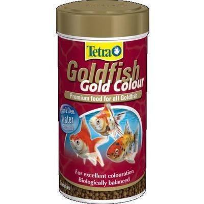Tetra Goldfish Gold Colour