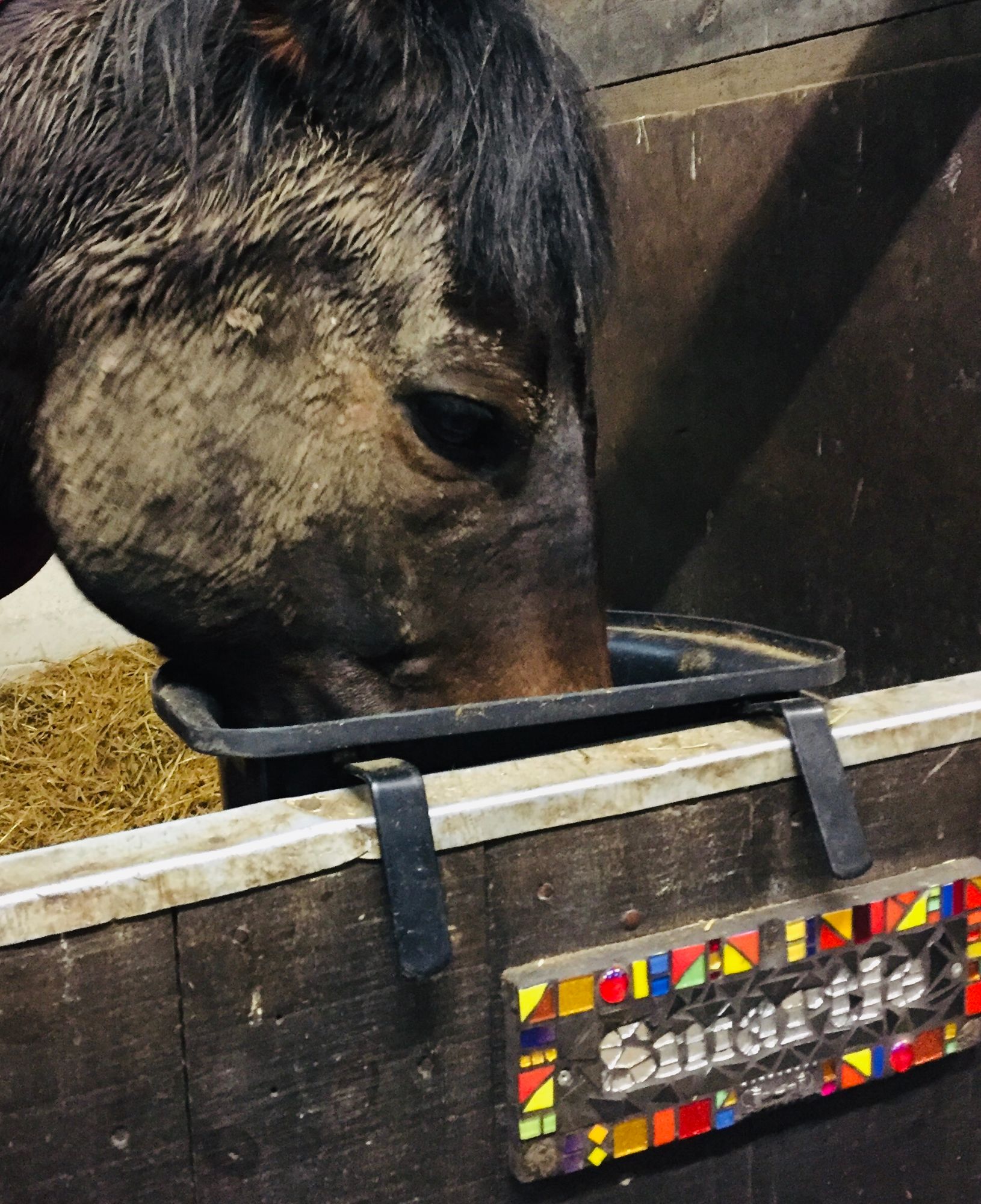 stable nameplate