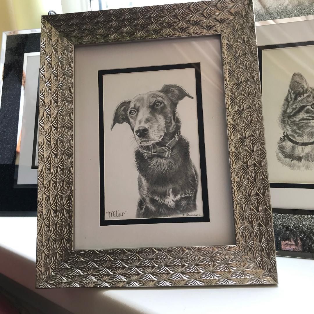 Dog Pencil Drawings