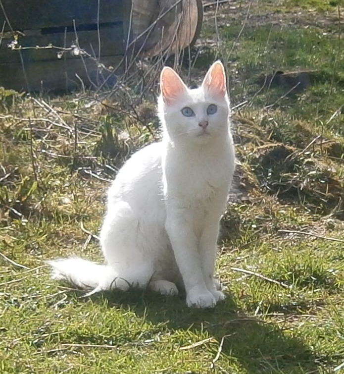 pascha april 13