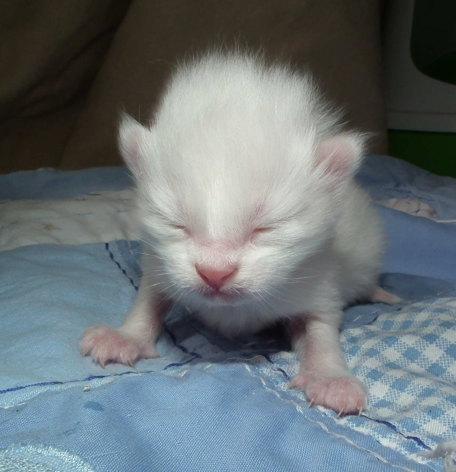 falling in love 1 week