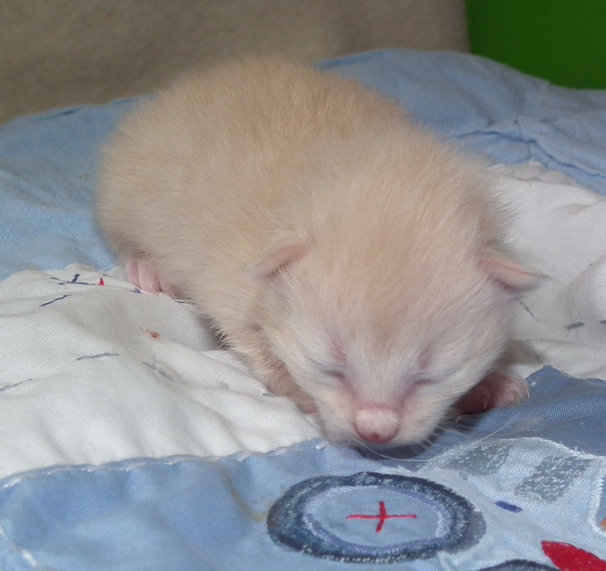 circles in the sand 1 week