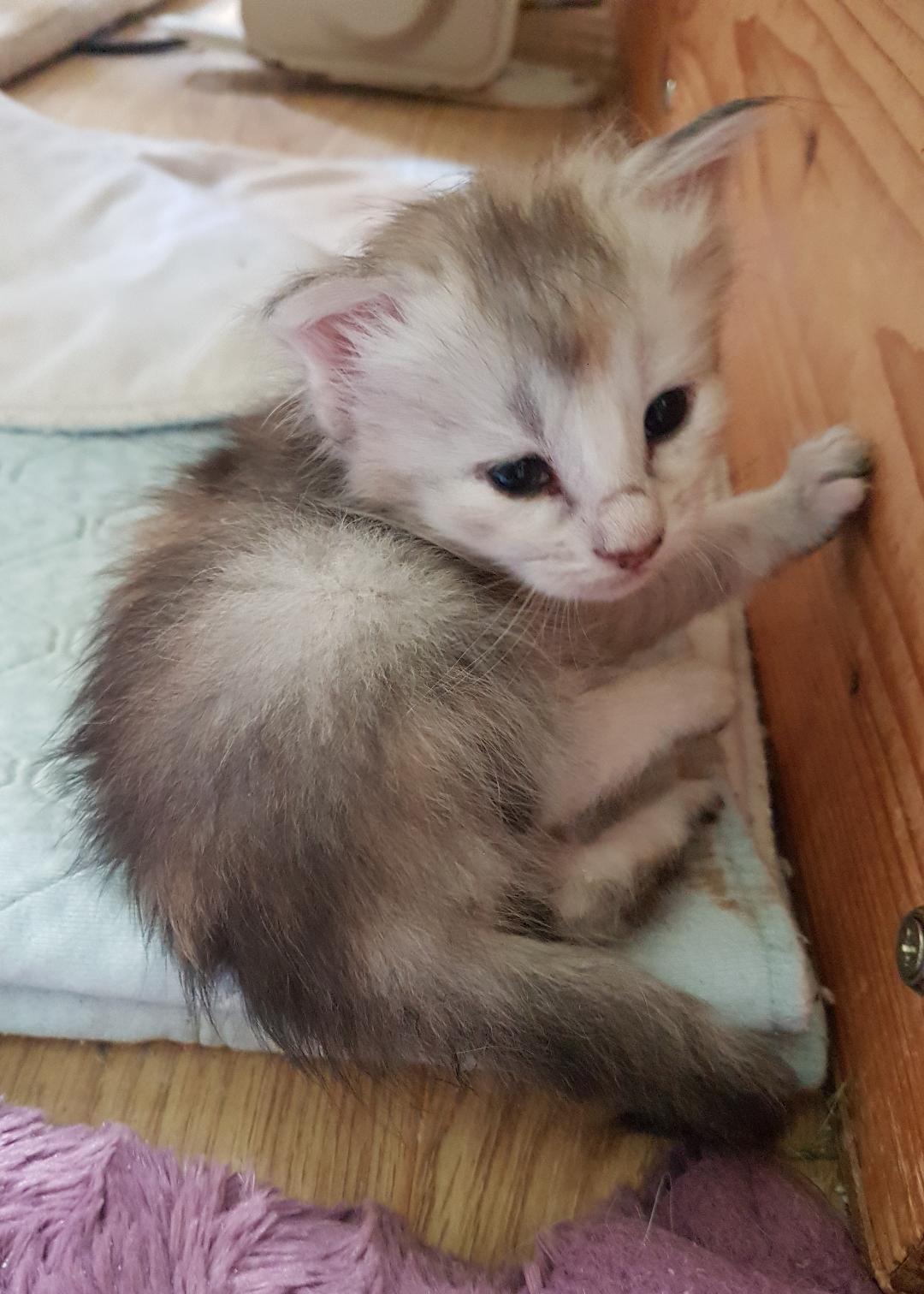 Aoife 3 weeks
