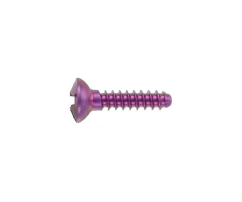Micro-Screws, Cross, Å˜1, 2mm, 6mm, 10 pcs.
