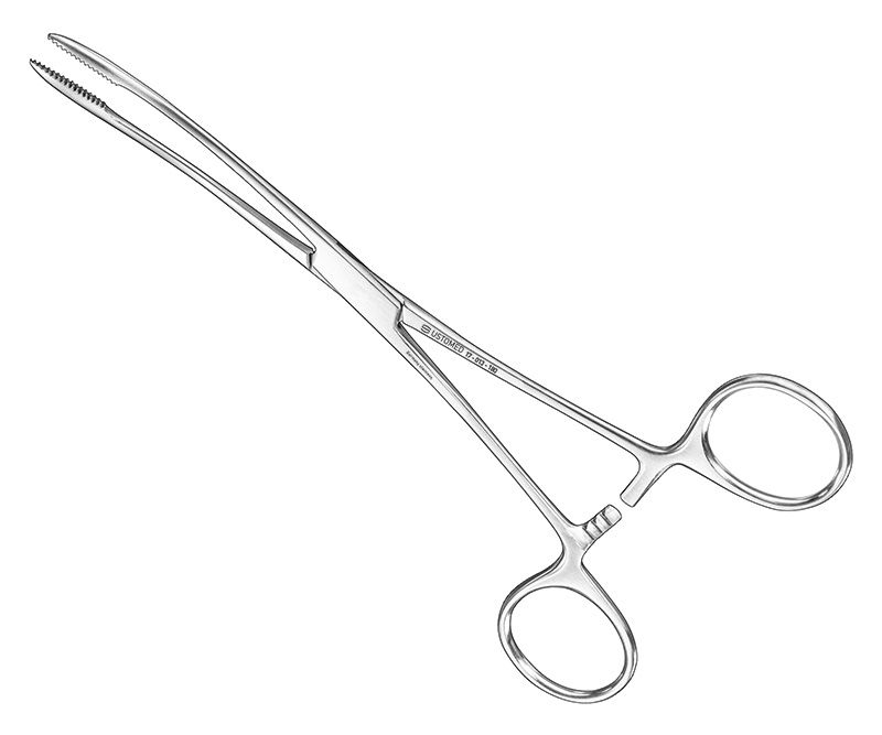 GROSS, modif., sponge hold.fcps., cvd., w.r