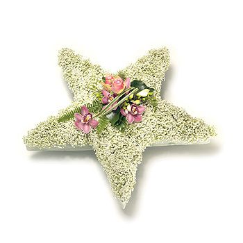 Funeral tribute / wreath - 5 point star - available in a choice of colours - Telephone order ONLY
