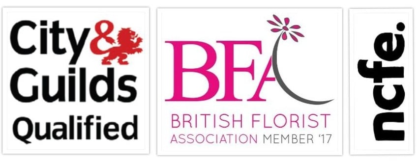 City and Guilds Qualified, Member of the BFA