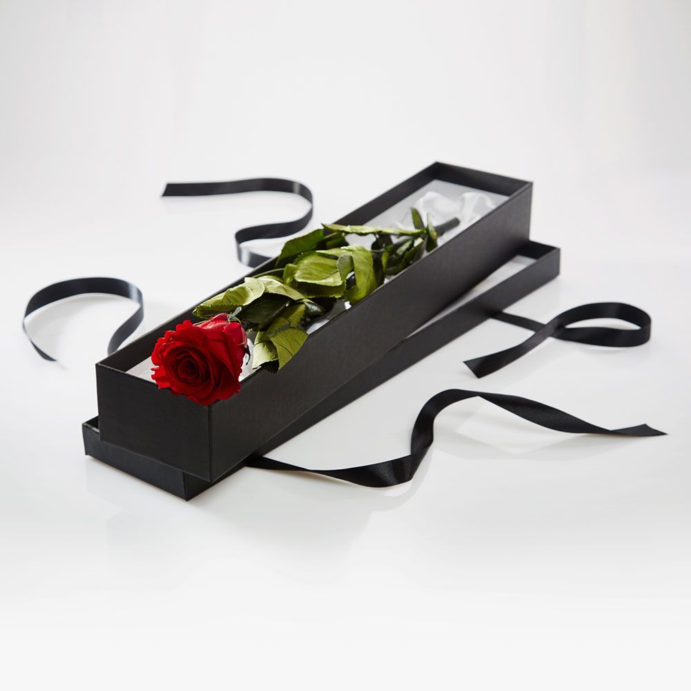 Valentine's Day Single stem Red Rose premium long stem next day local ...