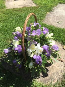 Basket fresh single variety seasonal flower arrangement