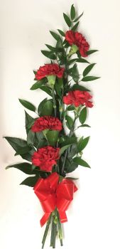 Hand-tied simple line arrangement of 5 carnations, roses or mixed - £25.00