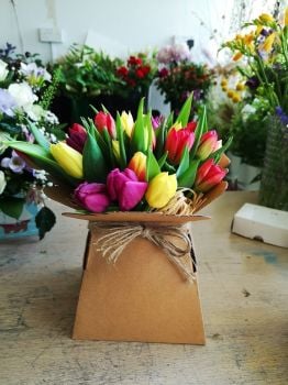 Environmentally / eco friendly fresh flower gift - Beautiful seasonal single variety flowers, hand tied in a vase - £29.99 FREE local delivery