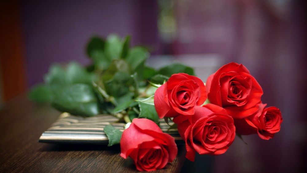 JUST Roses - luxury bunch of Red Roses - order by the stem - local delivery