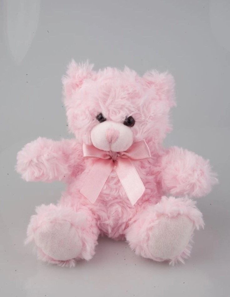 Teddy Bear - Pink
